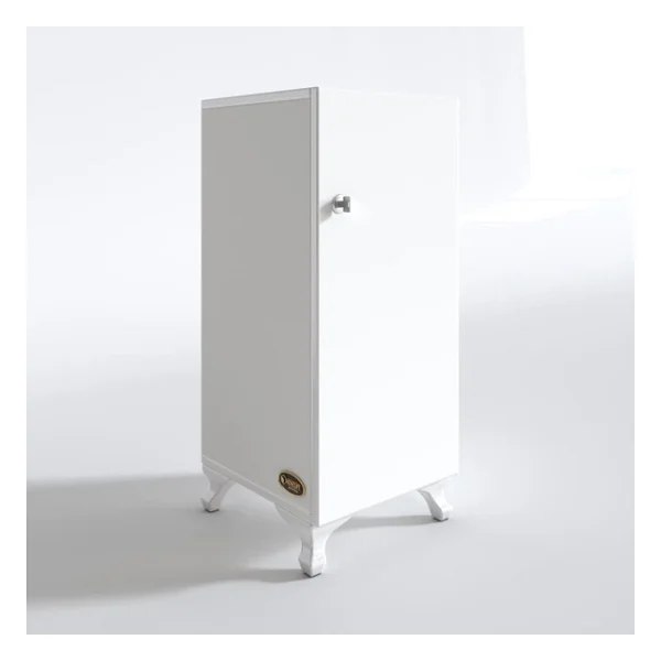 Kenzlife Rana29 Kilitli Çok Amaçlı Dolap 68x29x29 cm - Görsel 3