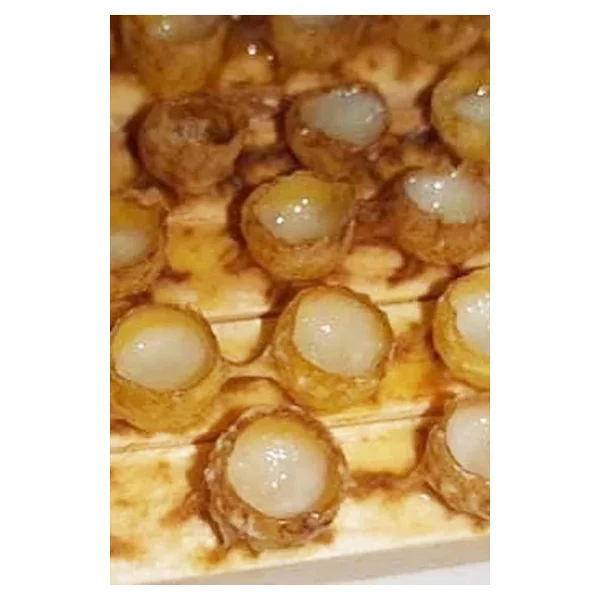 Organik Bitkim Saf Arı Sütü 100 gr - Görsel 6