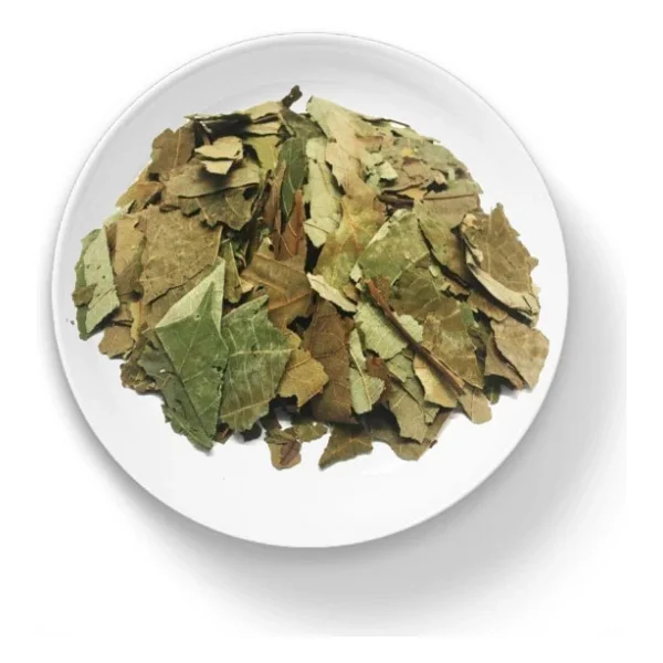 Organik Bitkim Avokado Yaprağı 500 gr - Görsel 7