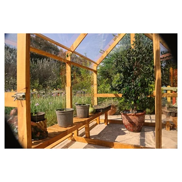 Mandu Green House Ahşap Fındık - Görsel 7