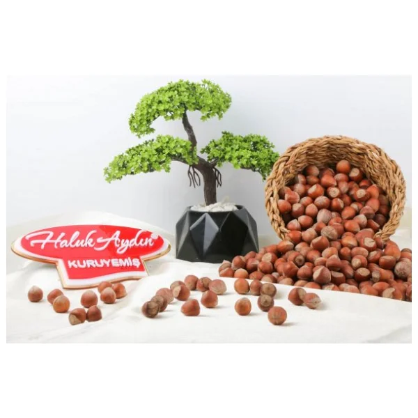 Haluk Aydın Kuruyemiş 500 gr Kabuklu Tuzsuz Fındık - Görsel 3