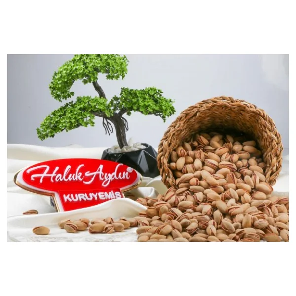 Haluk Aydın Kuruyemiş Siirt Fıstığı 1 kg - Görsel 3