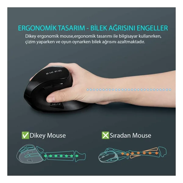 Triline Bluetooth+2.4G Kablosuz Dikey Ergonomik Şarj Edilebilir Sessiz Mouse - Görsel 4