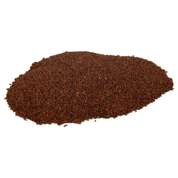 Lokmanavm Doğal Tere Tohumu 100 Gr Paket - Görsel 5