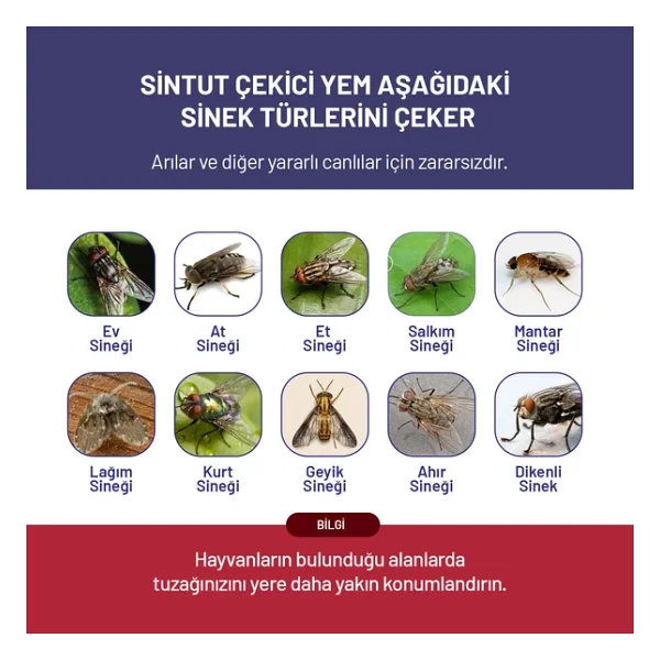 5 ADET Sintut Medium Karasinek Tuzağı - Görsel 5