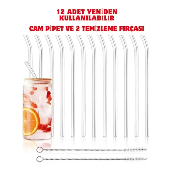 Yenigeldi (1 ADET PİPET TIPASI) 12 Adet Yeniden Kullanılabilir Cam Pipet Ve 2 Temizleme Fırçası - Görsel 2