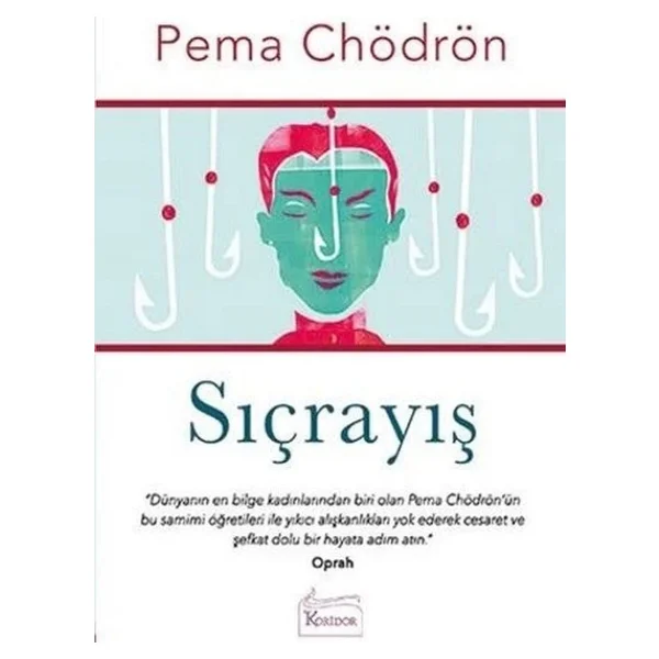 Sıçrayış - Pema Chödrön - Görsel 3