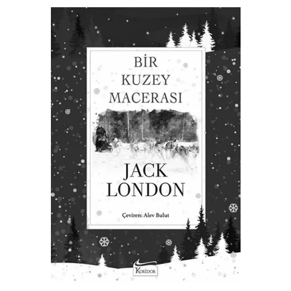 Bir Kuzey Macerası (Ciltli) - Jack London - Görsel 5