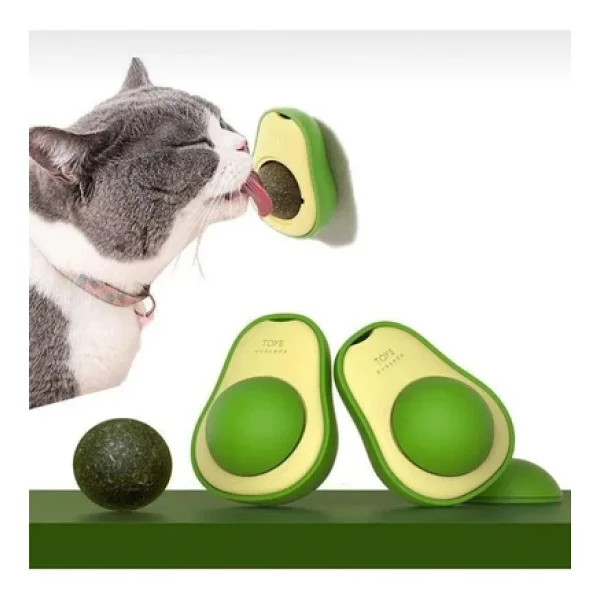 vet advice Kedi Çimi Seti 2 Adet Kedi Çimi 1 Adet Kedi Avokado catnip Set - Görsel 3