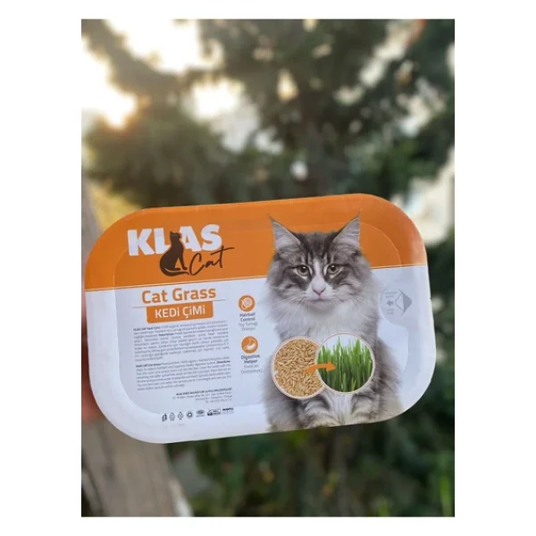KorPet Kedi Çimi Tüy Yumağı Önleyici Fileli Kedi Çimi Organik - Görsel 2