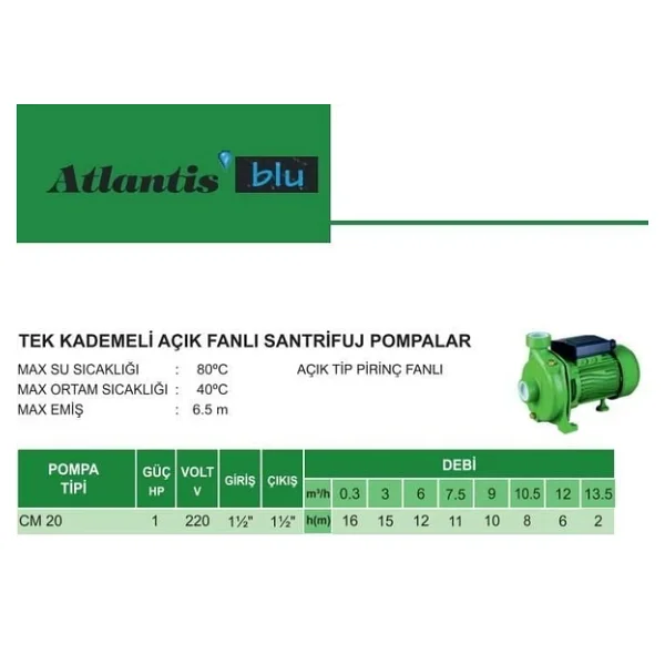 Atlantis CM20 1 HP Tek Kademeli Santrifuj Pompa - Görsel 2