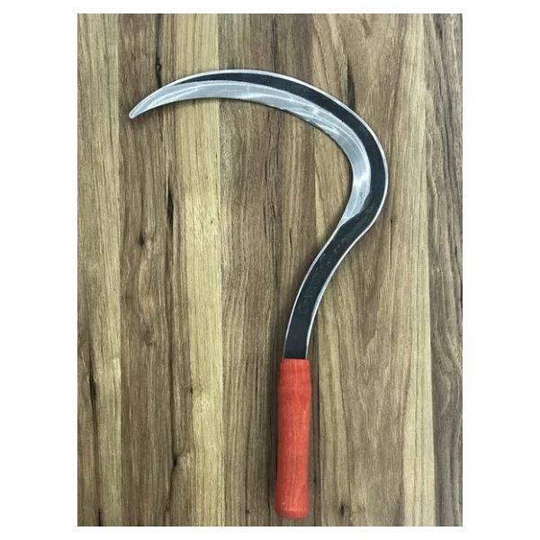 Erguven Orak Buyuk Boy - Görsel 3
