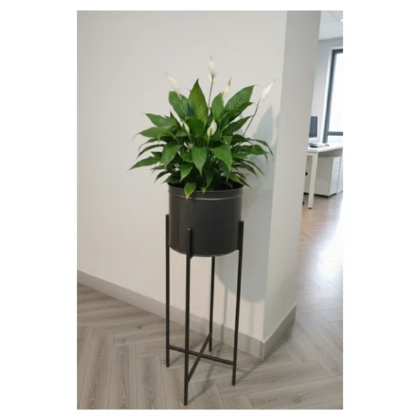 Orvila Siyah Dekoratif Ayaklı Metal Çiçeklik 72cm Saksılık - Görsel 3