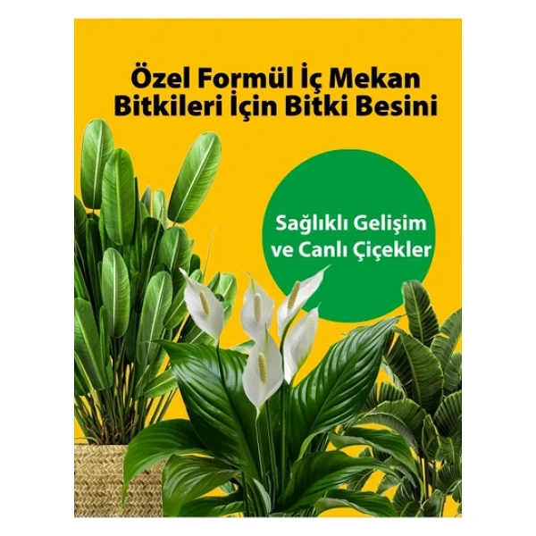 Petroturk İç Mekan Sıvı Bitki Besini Kullanıma Hazır - Sağlıklı Büyüme Ve Canlı Yapraklar - Görsel 7