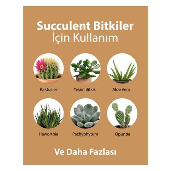 Petroturk Sukulent Sıvı Bitki Besini Kullanıma Hazır - Güçlü Kök Ve Sağlıklı Yapraklar - Görsel 5
