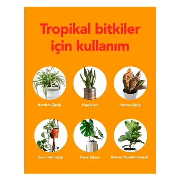 Petroturk Tropikal Sıvı Bitki Besini Kullanıma Hazır- Canlı Yapraklar Ve Güçlü Kökler - Görsel 5