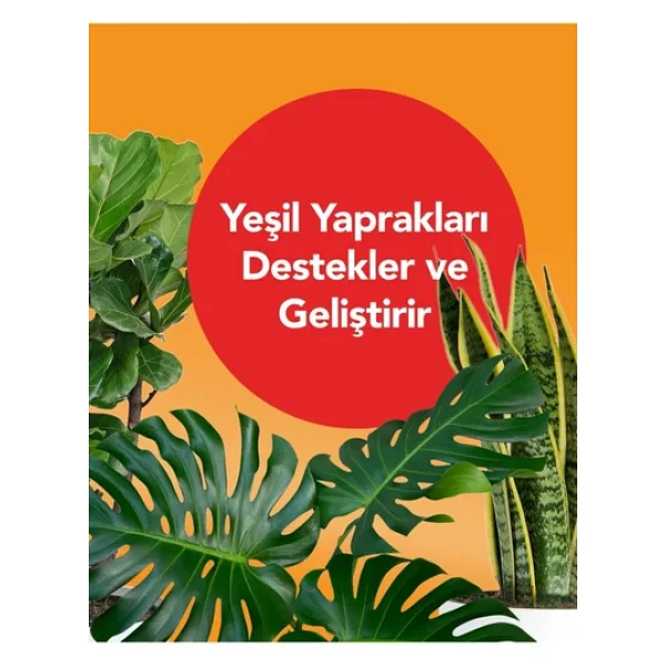 Petroturk Tropikal Sıvı Bitki Besini Kullanıma Hazır- Canlı Yapraklar Ve Güçlü Kökler - Görsel 6