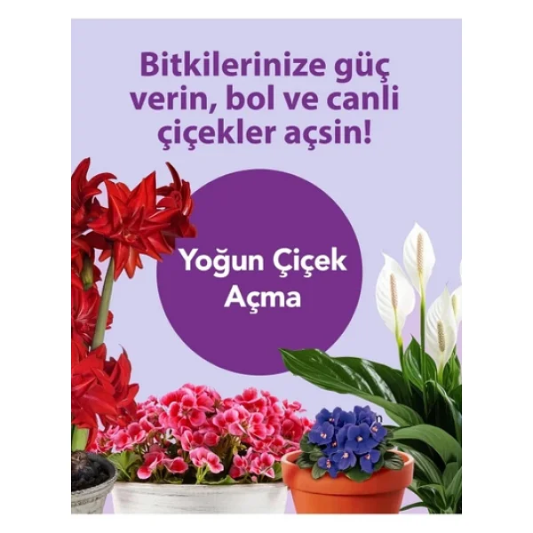 Petroturk Kullanıma Hazır Bol Çiçekli Sıvı Bitki Besini - Bol Çiçeklenme Ve Güçlü Büyüme Sağlar - Görsel 6