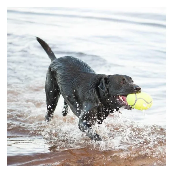 Kong Airdog Amerikan Futbol Topu Şeklinde Köpek Oyuncağı M - Görsel 7