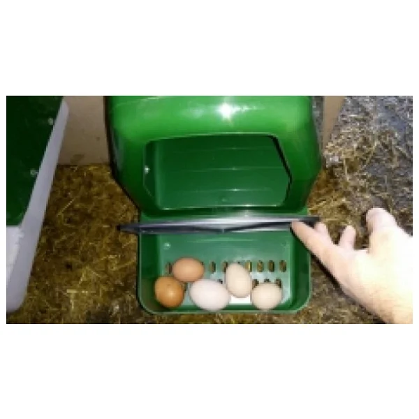 Plastik Otomatik Tavuk Folluk (Yeşil) - Görsel 3