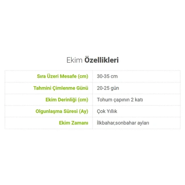 Bykurt Sunagri Nane Tohumu - Aromatik, Tıbbi Özellikli, Çok Yıllık, Kolay Yetiştirilir - Görsel 4