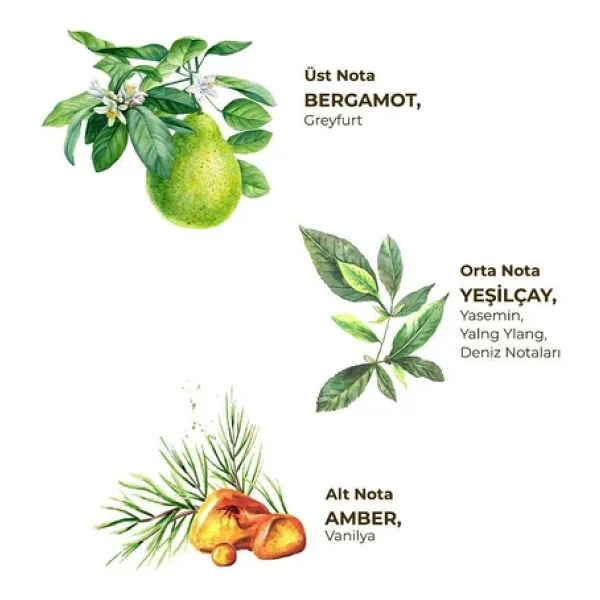 Eyüp Sabri Tuncer Beyaz Çay Kolonya 200 ml - Görsel 4