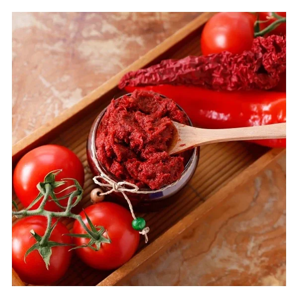 Burcu 4300 gr Domates Salçası - Görsel 3