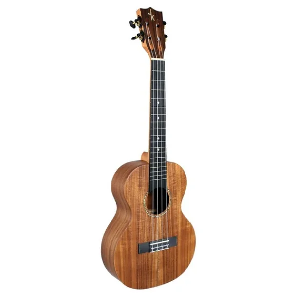 Jake LC4 Concert Ukulele - Görsel 5