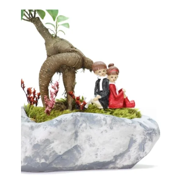 Pisagor Mini Ficus Bonsai Ve Sırt Sırta Sevgililer - Görsel 3