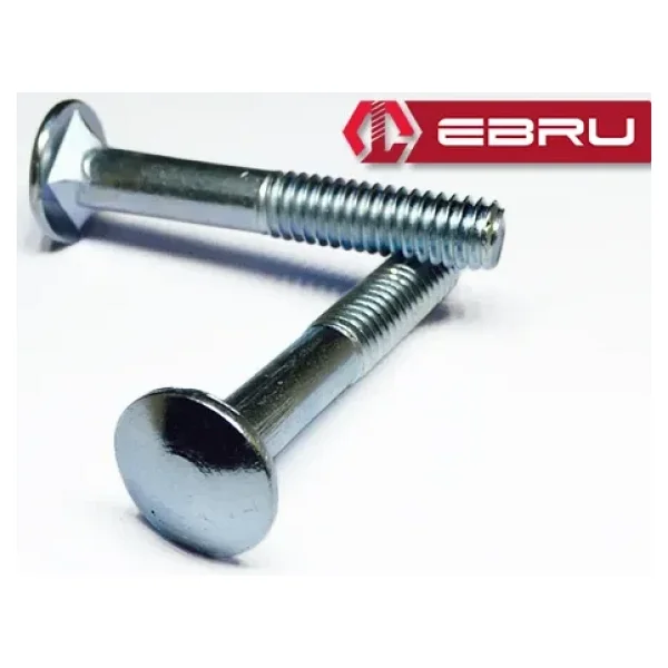 Ebru Kasa Civata 1/4X40 200 Adet - 1/4x40 - Görsel 2