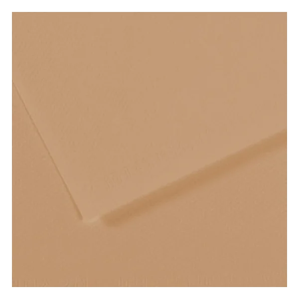 Canson Fon Kartonu (Dokulu) Mı-Teıntes 25 Lİ 50x65 160 GR 374 Terre De Sıenne 200321104-25-LI-PKT - Görsel 2