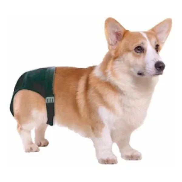 Pawise Dişi Köpek Hijyenik Regl Kilodu XLarge No:4 - Görsel 2