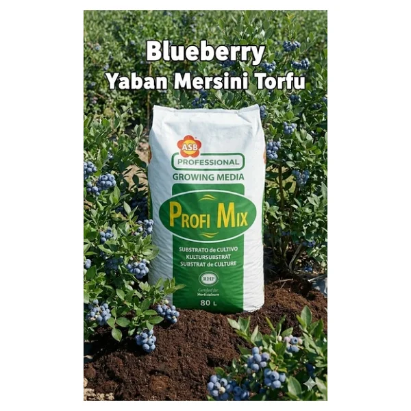 Profi Mix 80 Lt Ithal Blueberry Yaban Mersini Torfu - Ph 3,5 - 4,2 Asidik Toprak 0-40 mm - 80 Litre - Görsel 3