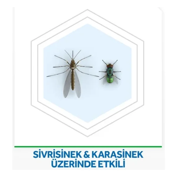 Raid Gece + Gündüz Elektro Yedek 240 Saat - Görsel 4