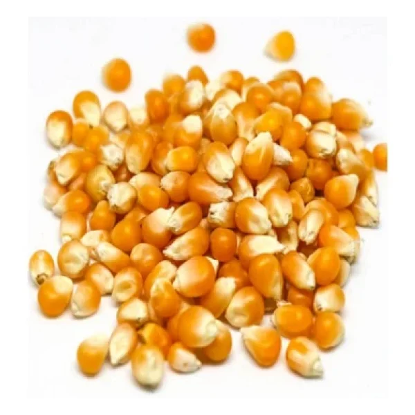 Selkur Cin Mısır 1 kg - Görsel 5