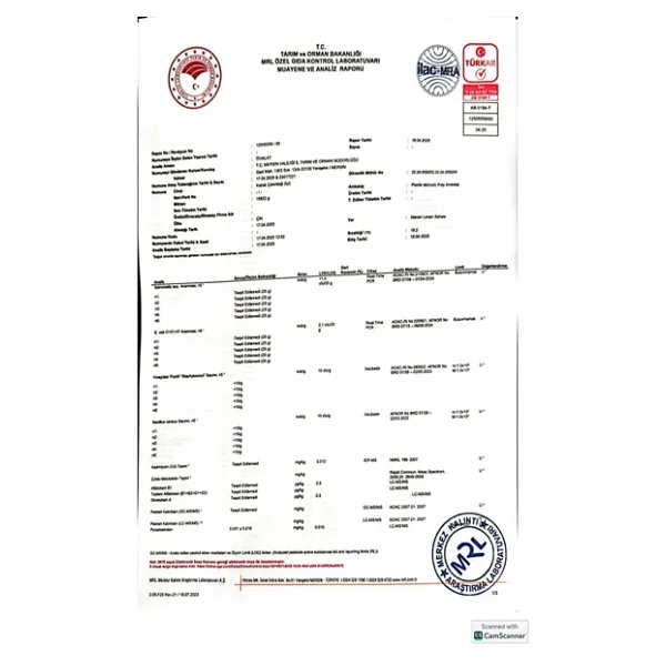 SELKUR Kabak Çekirdeği Içi 1kg(ÇİĞ, TUZSUZ) - Görsel 4