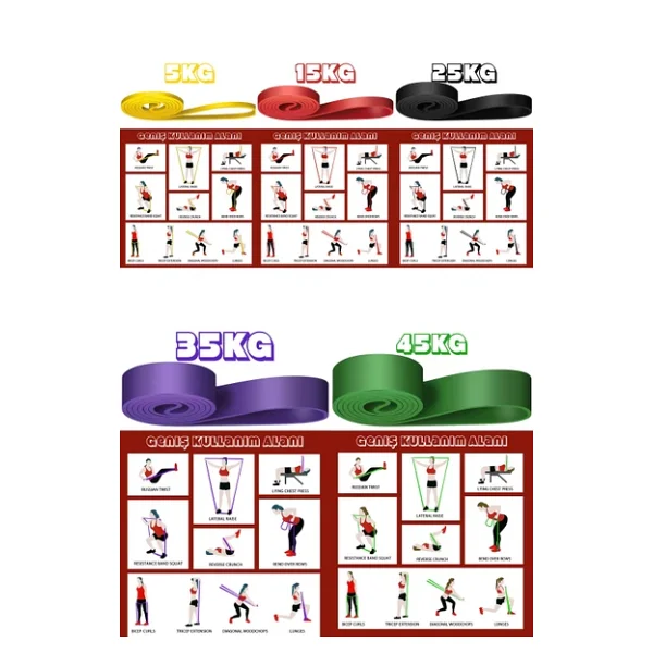 Telvesse 10lu TERA SET 5+15+25+35+45 KG + 5Li Pilates Direnç Bandı Barfiks Lastiği Loop Band Pembe Ton - Görsel 6