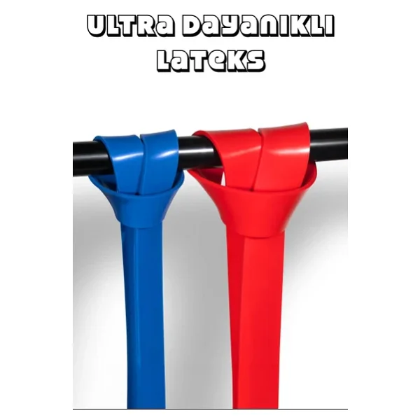 Telvesse 9lu TERA SET 5+15+25+35 KG + 5Li Pilates Direnç Bandı Barfiks Lastiği Loop Band Pembe Ton - Görsel 9