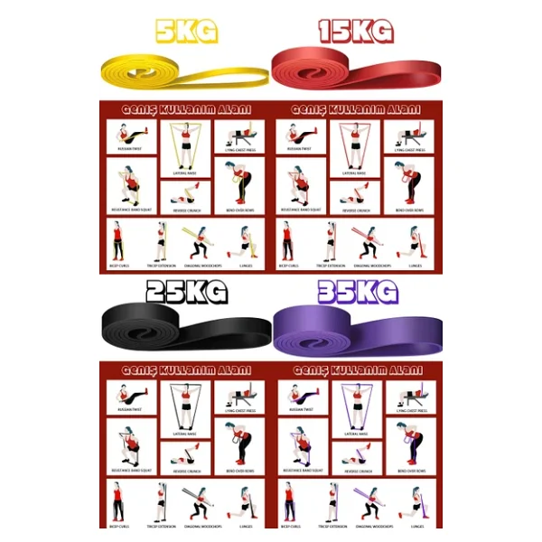 Telvesse 9lu TERA SET 5+15+25+35 KG + 5Li Pilates Direnç Bandı Barfiks Lastiği Loop Band Pembe Ton - Görsel 7