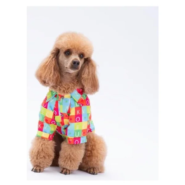 Pawstar Sarasota Kedi Köpek Gömleği - Kedi Köpek Kıyafeti - Görsel 2