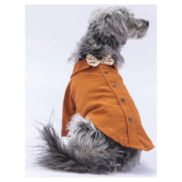 Pawstar Kahve Linen Look Kedi Ve Küçük Irk Köpek Gömleği - Görsel 3