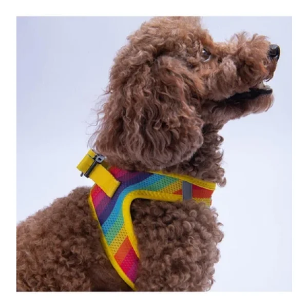 Pawstar Rainbow Air-Mesh Göğüs Tasması Kedi Köpek Göğüs Tasması Gökkuşağı Desenli Köpek Tasması - Görsel 3