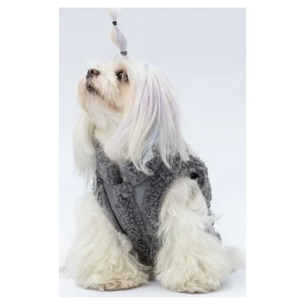 Pawstar Gri Churchill Su Geçirmez Küçük Irk Köpek Yeleği - Görsel 4