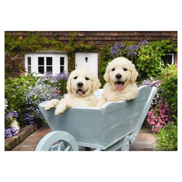 Anatolian Bahçıvan Köpekler Puzzle 260 Parça 3310 - Görsel 4