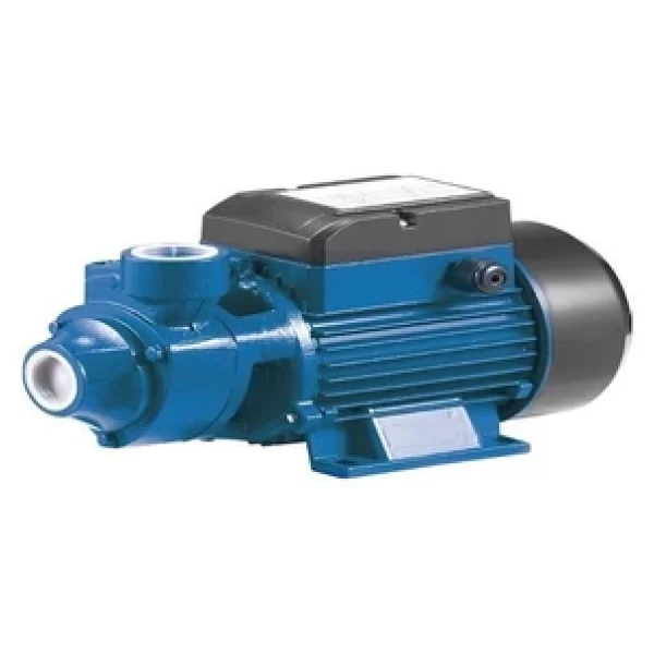 Rain Pump QB70 Santrifüj Pompa - Görsel 2
