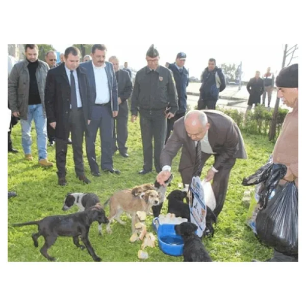Sokak Hayvanları Suluğu ikili - Görsel 3