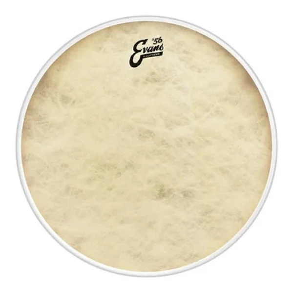 Evans BD18CT Deri 18 Calftone Kick Ve Resonant Sentetik Tek Kat - Görsel 2