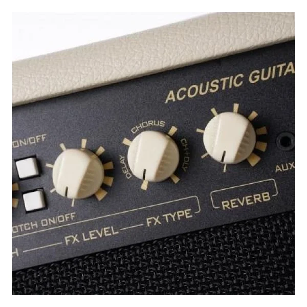 Cort Endonezya Cort AF60 Akustik Gitar ve Enstrüman Amfisi (Orta/profesyonel Seviye) 60 Watt Güç, Çift Kanal Girişi, Dahili Reverb/chorus Efektleri ve Çelik Izgara - Görsel 7