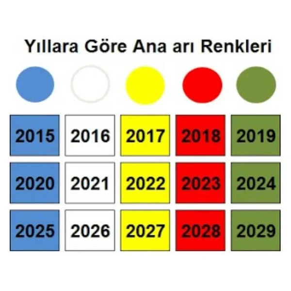 2025 Yılı Lega Ana Arı İşaretleme Boyası, Mavi - Görsel 2