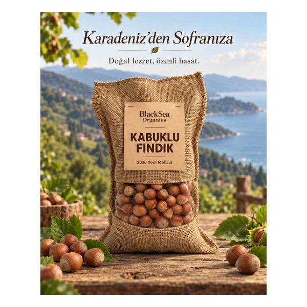 Blacksea Organics 2025 Yeni Mahsul Kabuklu Fındık 250 Gr - Görsel 5